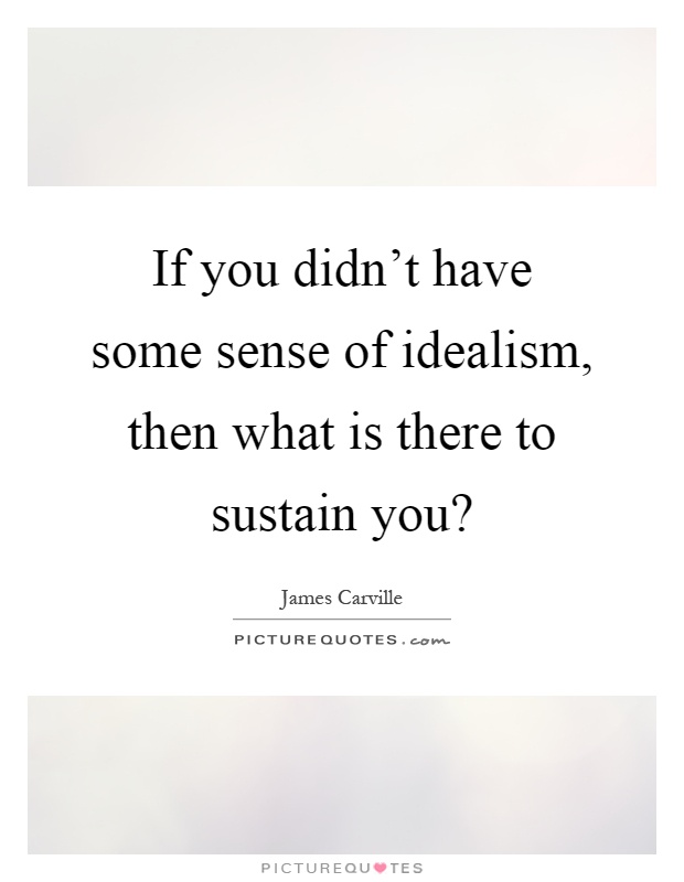 If you didn't have some sense of idealism, then what is there to sustain you? Picture Quote #1
