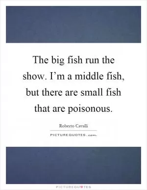 The big fish run the show. I’m a middle fish, but there are small fish that are poisonous Picture Quote #1