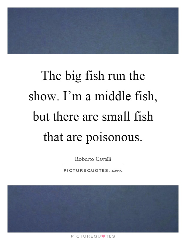 The big fish run the show. I'm a middle fish, but there are small fish that are poisonous Picture Quote #1