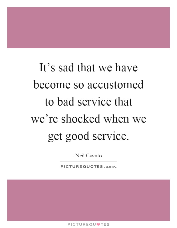 It's sad that we have become so accustomed to bad service that we're shocked when we get good service Picture Quote #1