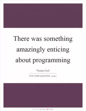 There was something amazingly enticing about programming Picture Quote #1