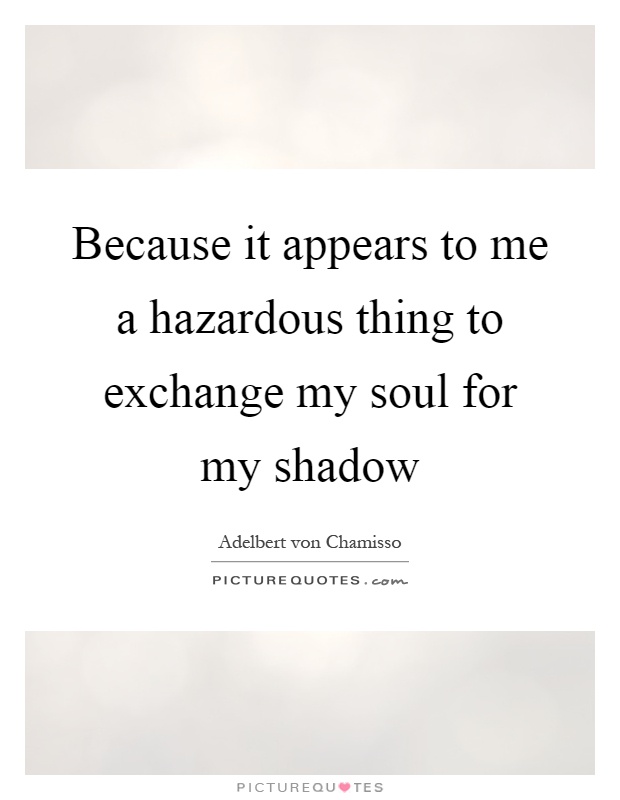 Because it appears to me a hazardous thing to exchange my soul for my shadow Picture Quote #1