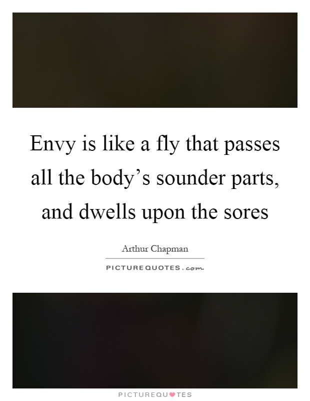 Envy is like a fly that passes all the body's sounder parts, and dwells upon the sores Picture Quote #1