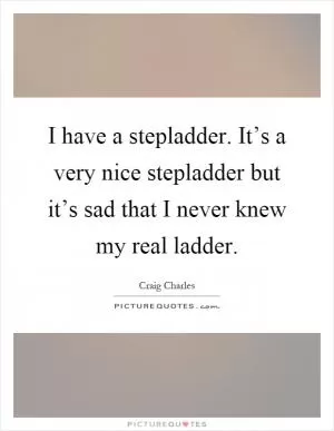 I have a stepladder. It’s a very nice stepladder but it’s sad that I never knew my real ladder Picture Quote #1