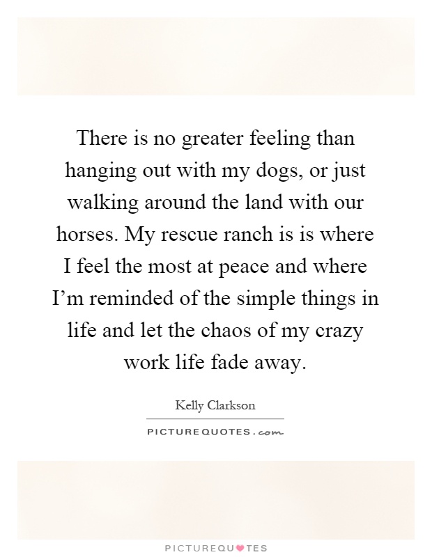 There is no greater feeling than hanging out with my dogs, or just walking around the land with our horses. My rescue ranch is is where I feel the most at peace and where I'm reminded of the simple things in life and let the chaos of my crazy work life fade away Picture Quote #1