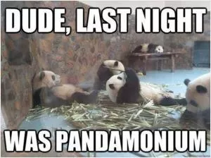 Dude, last night was pandamonium Picture Quote #1