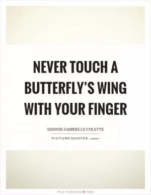 Never touch a butterfly’s wing with your finger Picture Quote #1