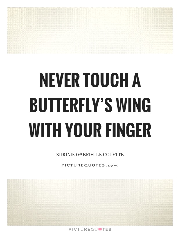 Never touch a butterfly's wing with your finger Picture Quote #1