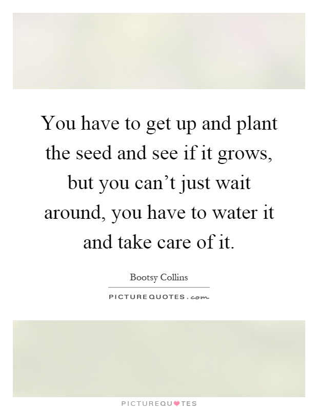 You have to get up and plant the seed and see if it grows, but you can't just wait around, you have to water it and take care of it Picture Quote #1