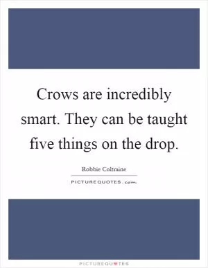 Crows are incredibly smart. They can be taught five things on the drop Picture Quote #1