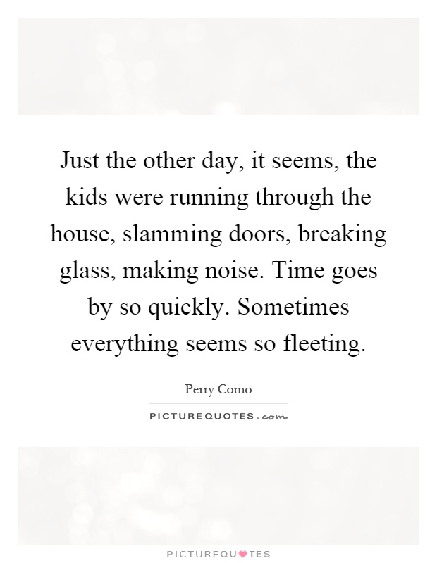 Just the other day, it seems, the kids were running through the house, slamming doors, breaking glass, making noise. Time goes by so quickly. Sometimes everything seems so fleeting Picture Quote #1