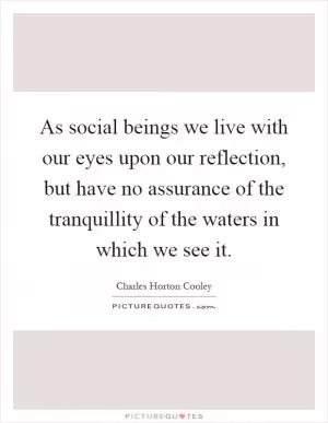 As social beings we live with our eyes upon our reflection, but have no assurance of the tranquillity of the waters in which we see it Picture Quote #1