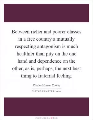 Between richer and poorer classes in a free country a mutually respecting antagonism is much healthier than pity on the one hand and dependence on the other, as is, perhaps, the next best thing to fraternal feeling Picture Quote #1