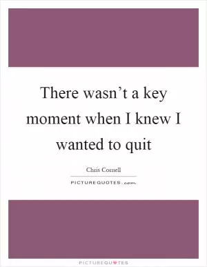 There wasn’t a key moment when I knew I wanted to quit Picture Quote #1