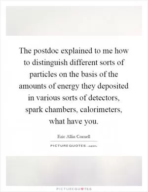 The postdoc explained to me how to distinguish different sorts of particles on the basis of the amounts of energy they deposited in various sorts of detectors, spark chambers, calorimeters, what have you Picture Quote #1