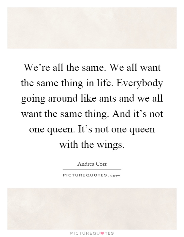We're all the same. We all want the same thing in life. Everybody going around like ants and we all want the same thing. And it's not one queen. It's not one queen with the wings Picture Quote #1
