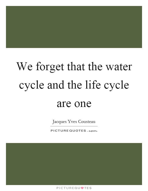We forget that the water cycle and the life cycle are one Picture Quote #1