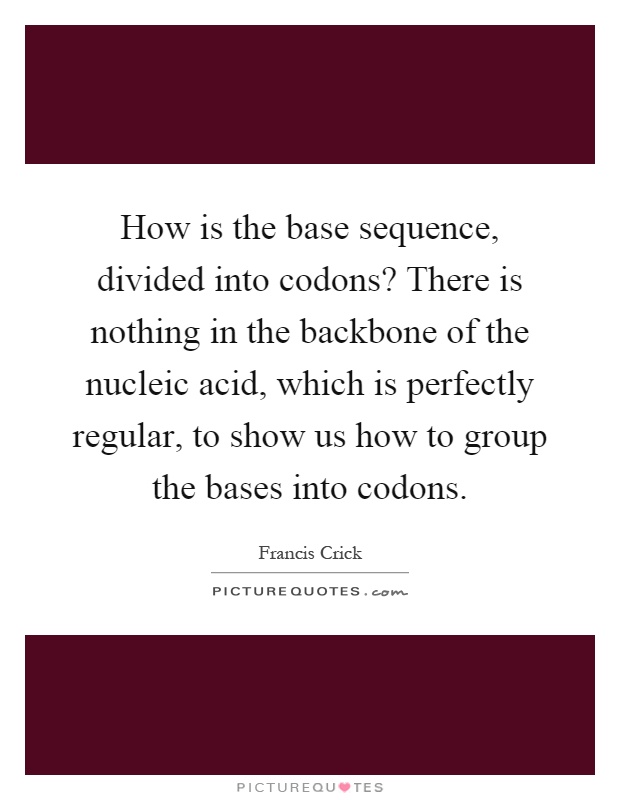 How is the base sequence, divided into codons? There is nothing in the backbone of the nucleic acid, which is perfectly regular, to show us how to group the bases into codons Picture Quote #1