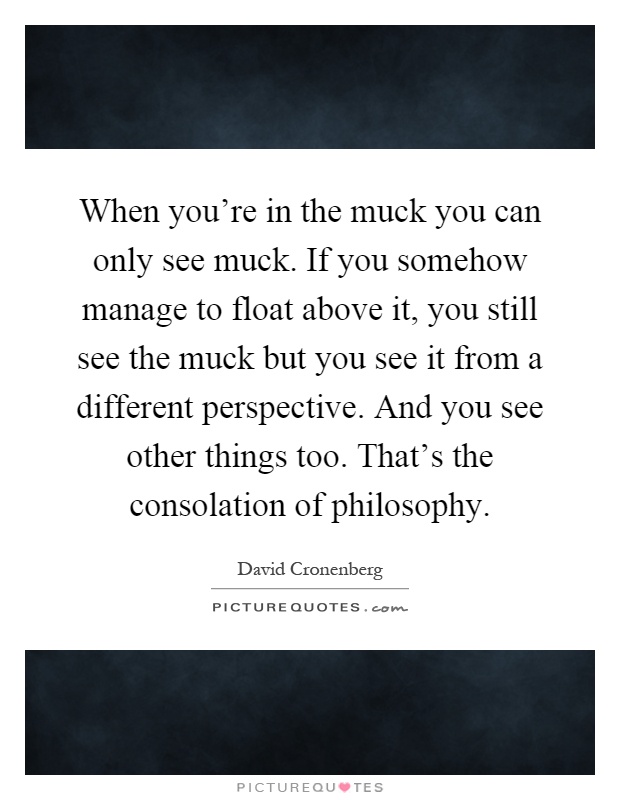 When you're in the muck you can only see muck. If you somehow manage to float above it, you still see the muck but you see it from a different perspective. And you see other things too. That's the consolation of philosophy Picture Quote #1