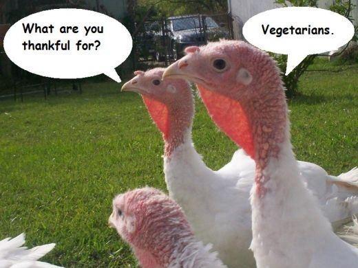 What are you thankful for. Vegetarians Picture Quote #1