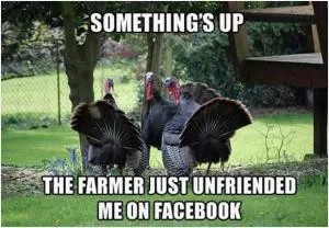 Something’s up. The farmer just unfriended me on Facebook Picture Quote #1
