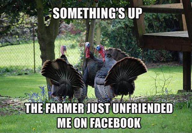 Something's up. The farmer just unfriended me on Facebook Picture Quote #1