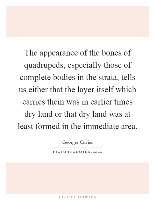 The appearance of the bones of quadrupeds, especially those of complete bodies in the strata, tells us either that the layer itself which carries them was in earlier times dry land or that dry land was at least formed in the immediate area Picture Quote #1