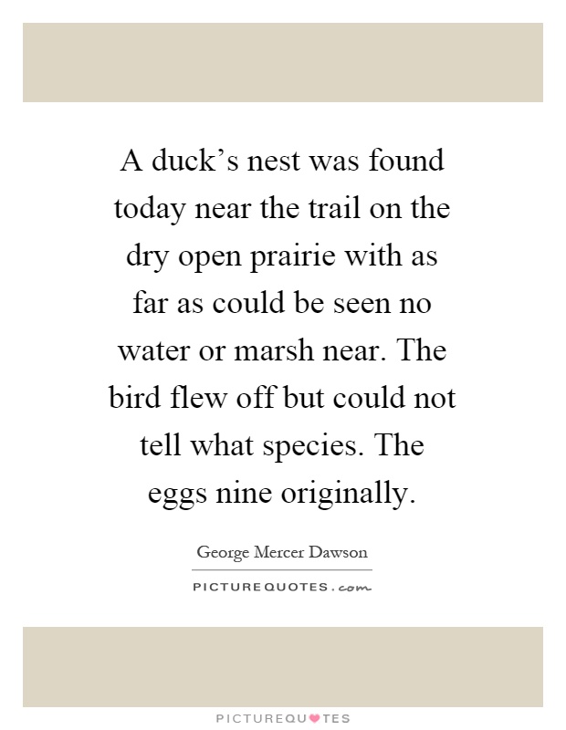 A duck's nest was found today near the trail on the dry open prairie with as far as could be seen no water or marsh near. The bird flew off but could not tell what species. The eggs nine originally Picture Quote #1