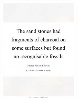 The sand stones had fragments of charcoal on some surfaces but found no recognisable fossils Picture Quote #1
