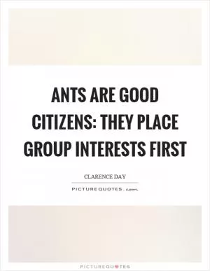 Ants are good citizens: they place group interests first Picture Quote #1