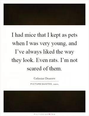 I had mice that I kept as pets when I was very young, and I’ve always liked the way they look. Even rats. I’m not scared of them Picture Quote #1