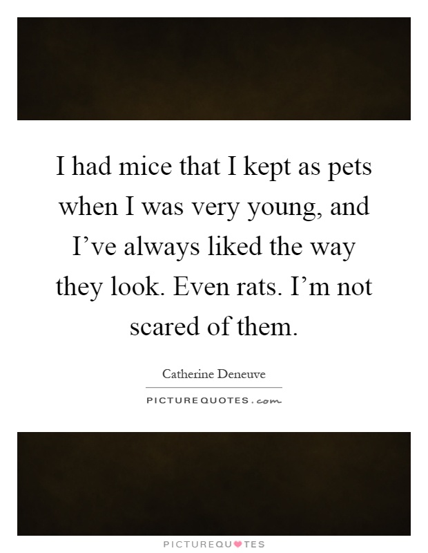I had mice that I kept as pets when I was very young, and I've always liked the way they look. Even rats. I'm not scared of them Picture Quote #1