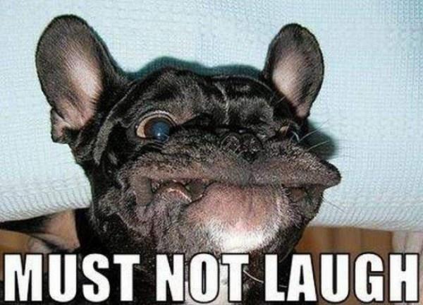 Must not laugh Picture Quote #1