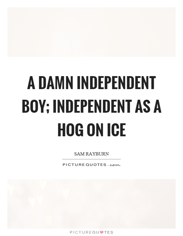 A damn independent boy; independent as a hog on ice Picture Quote #1
