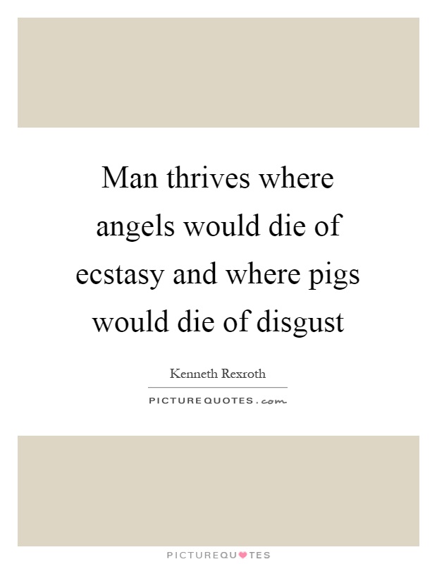 Man thrives where angels would die of ecstasy and where pigs would die of disgust Picture Quote #1