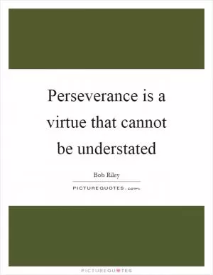 Perseverance is a virtue that cannot be understated Picture Quote #1