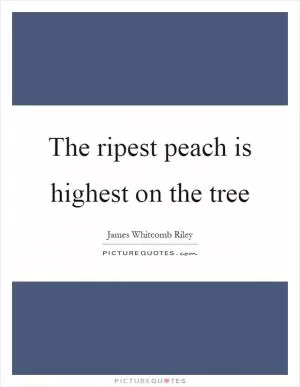 The ripest peach is highest on the tree Picture Quote #1
