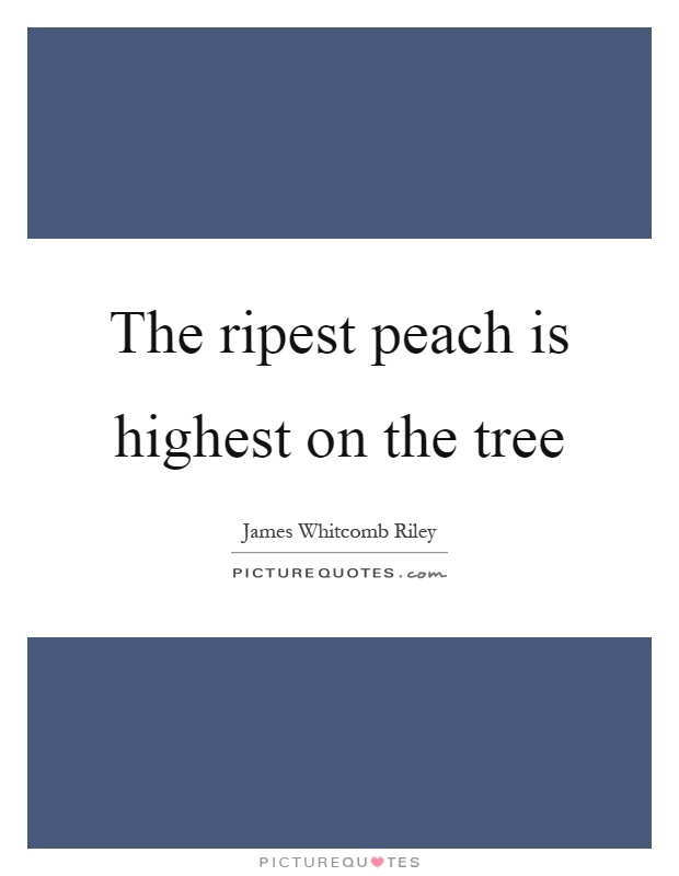 The ripest peach is highest on the tree Picture Quote #1