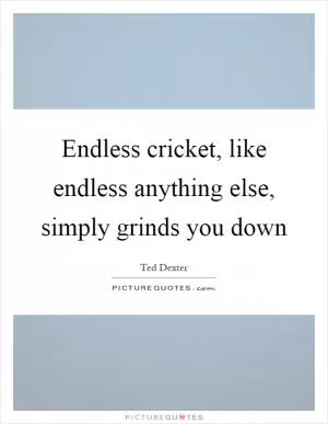 Endless cricket, like endless anything else, simply grinds you down Picture Quote #1