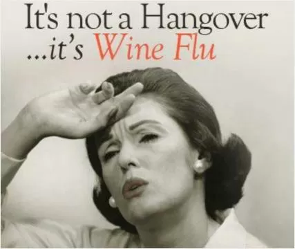 It's not a hangover it's Wine Flu Picture Quote #1