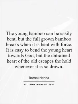 The young bamboo can be easily bent, but the full grown bamboo breaks when it is bent with force. It is easy to bend the young heart towards God, but the untrained heart of the old escapes the hold whenever it is so drawn Picture Quote #1