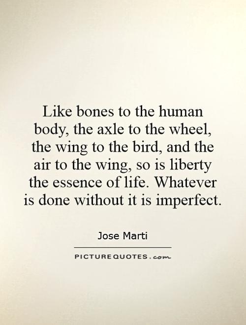 Like bones to the human body, the axle to the wheel, the wing to the bird, and the air to the wing, so is liberty the essence of life. Whatever is done without it is imperfect Picture Quote #1