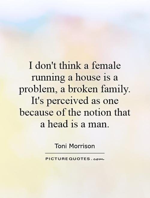 I don't think a female running a house is a problem, a broken family. It's perceived as one because of the notion that a head is a man Picture Quote #1