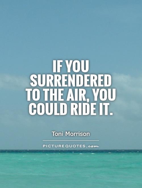 If you surrendered to the air, you could ride it Picture Quote #1
