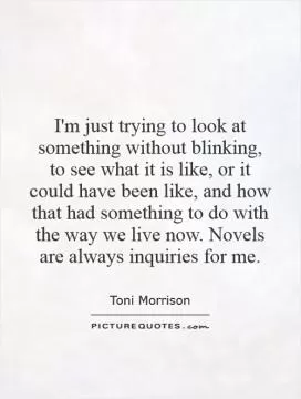 I'm just trying to look at something without blinking, to see what it is like, or it could have been like, and how that had something to do with the way we live now. Novels are always inquiries for me Picture Quote #1