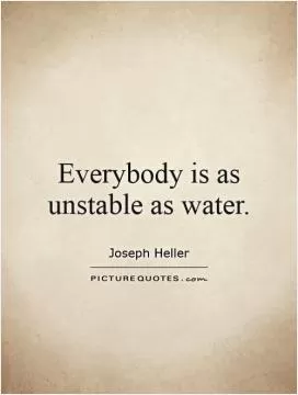 Everybody is as unstable as water Picture Quote #1