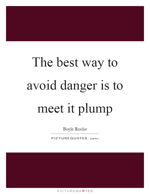 The best way to avoid danger is to meet it plump Picture Quote #1