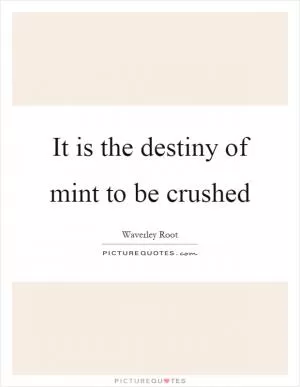 It is the destiny of mint to be crushed Picture Quote #1