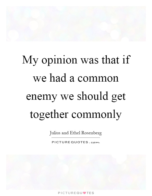 My opinion was that if we had a common enemy we should get together commonly Picture Quote #1