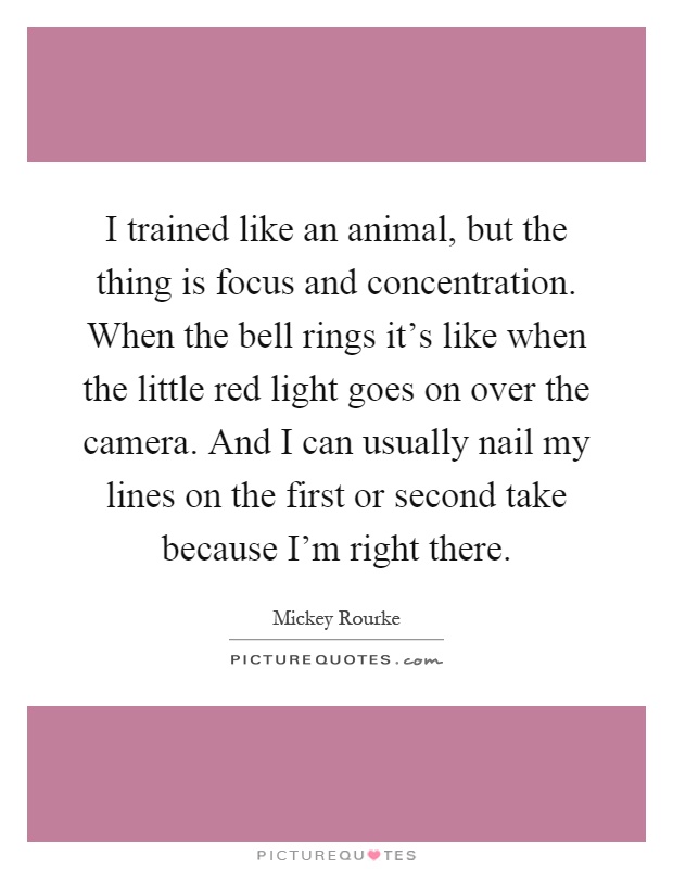 I trained like an animal, but the thing is focus and concentration. When the bell rings it's like when the little red light goes on over the camera. And I can usually nail my lines on the first or second take because I'm right there Picture Quote #1